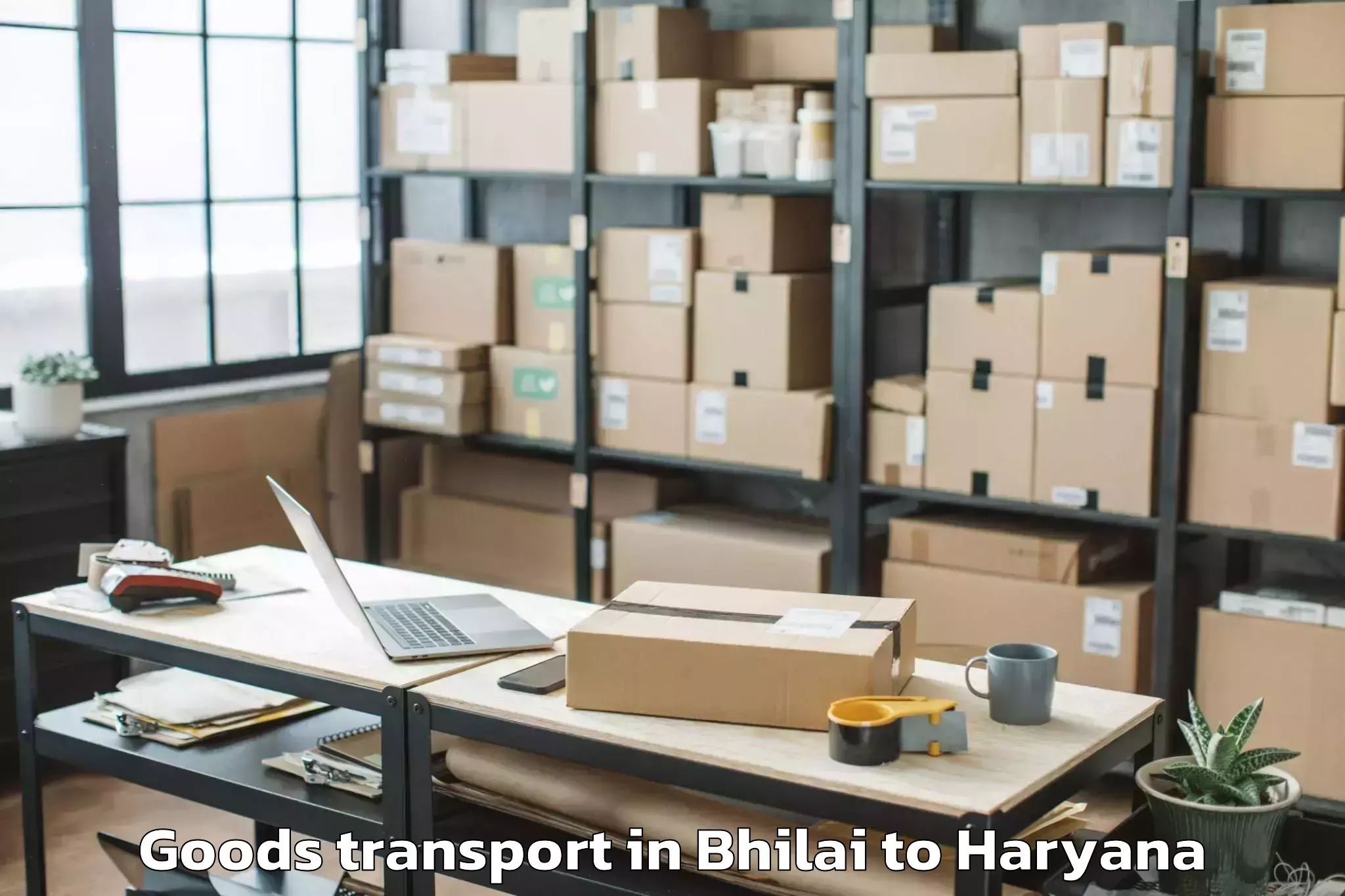 Trusted Bhilai to Sonipat Goods Transport